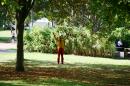 Le Grp de liberation des arbres 12 * 4368 x 2912 * (7.45MB)